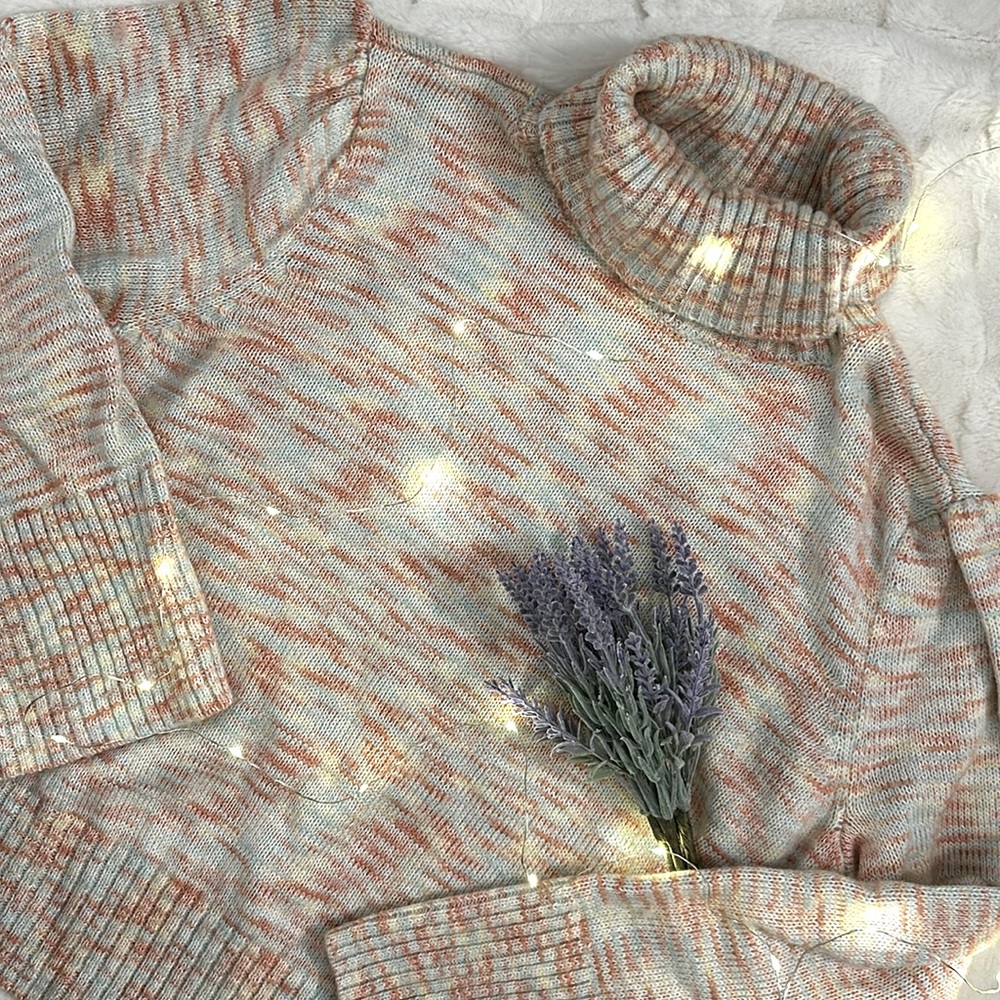 LC Lauren Conrad Pastel Sweater
